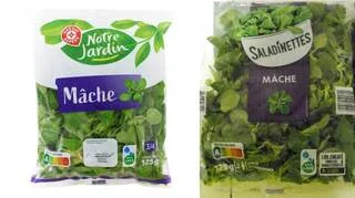 SALMONELLES : LECLERC ET LIDL RAPPELLENT DE LA SALADE EN SACHET CONTAMINÉE PAR LA SALMONELLA