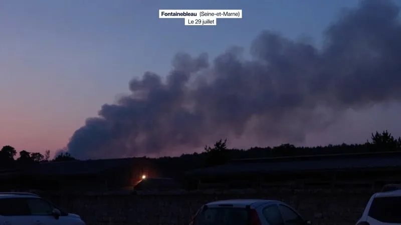 SEPT HECTARES BRÛLÉS PAR UNE REPRISE DE FEU EN FORÊT DE FONTAINEBLEAU, LES AUTORITÉS « PAS PESSIMISTES »