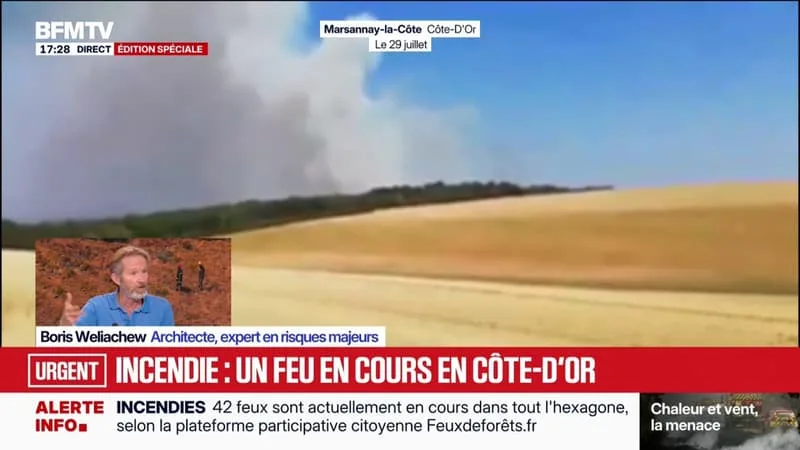 INCENDIES EN FRANCE: UN FEU DE FORÊT S’EST DÉCLARÉ EN CÔTE-D’OR