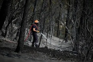 INCENDIES VOLONTAIRES DANS LE VAR : UN HOMME ET UN ADOLESCENT POURSUIVIS EN JUSTICE POUR DES DÉPARTS DE FEUX
