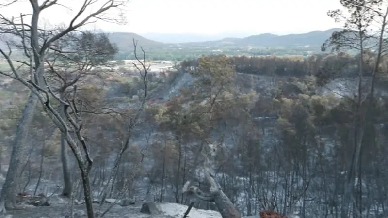 DU JAMAIS-VU: LES INCENDIES EN 2026 ONT DÉJÀ BATTU LE RECORD DE 2022 DE SURFACES BRÛLÉES EN FRANCE