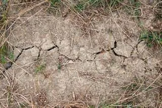 L’ÉTAT DES NAPPES PHRÉATIQUES N’EST PAS TRÈS RASSURANT : LA FRANCE MENACÉE DE SÉCHERESSE CET ÉTÉ ?