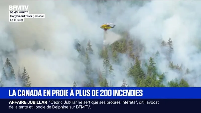INCENDIES AU CANADA: DONALD TRUMP BLÂME LE CANADA POUR LA POLLUTION DE L’AIR AUX ÉTATS-UNIS