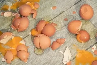 « LORS DE MON PREMIER BOULOT, J’AI APPRIS LA LOI DE LA PESANTEUR… ET CASSÉ UNE OMELETTE DE 432 ŒUFS ! »