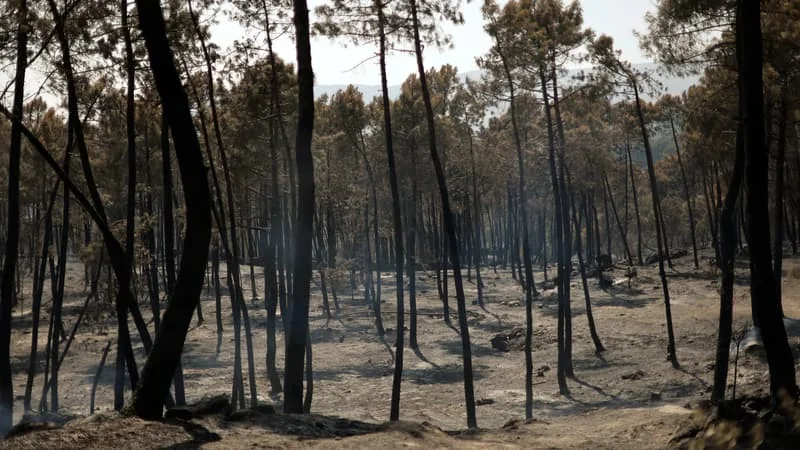 « LA VILLE EST LIBÉRÉE, ENFIN »: EN GIRONDE, LES HABITANTS ÉVACUÉS RETROUVENT LEUR HABITATION MAIS REDOUTENT « LE DÉBUT DE LA CRISE »