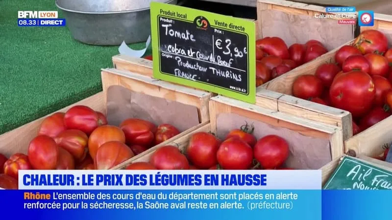 CHALEUR : LES PRODUCTIONS DE FRUITS ET LÉGUMES SONT IMPACTÉES, ALORS LES PRIX AUGMENTENT