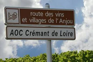 GAGE DE QUALITÉ OU FIL À LA PATTE : LE VIN FRANÇAIS EST-IL PLOMBÉ PAR SES AOC ?