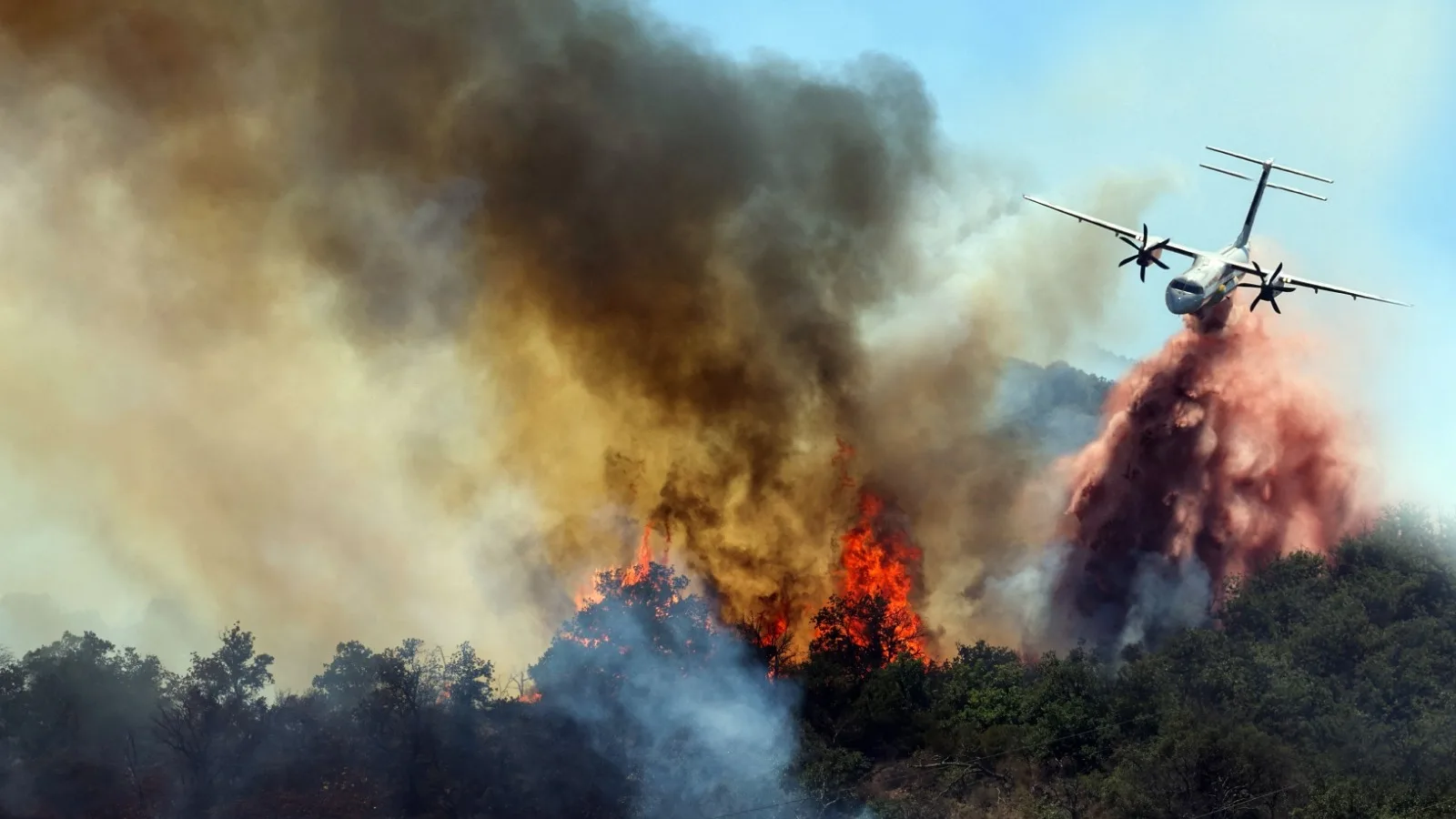 APRÈS LES INCENDIES EN GIRONDE, CETTE RUMEUR SUR LES PANNEAUX SOLAIRES EXPLOSE SUR LES RÉSEAUX SOCIAUX