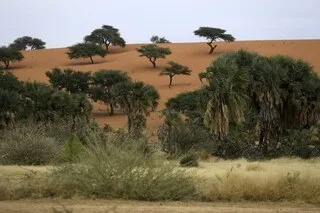 AU MOINS 60 MORTS DANS L’EFFONDREMENT D’UNE MINE AU SOUDAN, DE NOMBREUX DISPARUS ENCORE SOUS LES DÉCOMBRES
