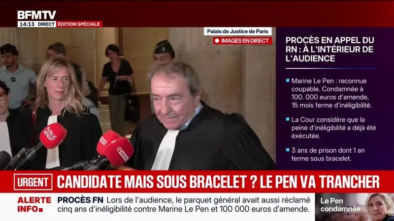 PROCÈS EN APPEL DU RN: « ILS ONT DÉTOURNÉ, VOLÉ, L’ARGENT PUBLIC DU CONTRIBUABLE EUROPÉEN », L’AVOCAT DU PARLEMENT EUROPÉEN SALUE LA DÉCISION DE LA COUR D’APPEL