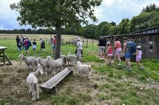 LES VACANCES À LA FERME PLAISENT DE PLUS EN PLUS… MAIS CÔTÉ AGRICULTEURS, C’EST LOIN D’ÊTRE SIMPLE