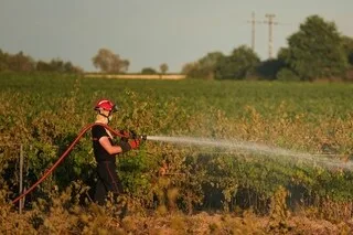 8 000 DÉPARTS DE FEUX DEPUIS LE DÉBUT DE L’ANNÉE : ALERTE AUX INCENDIES DANS L’HEXAGONE
