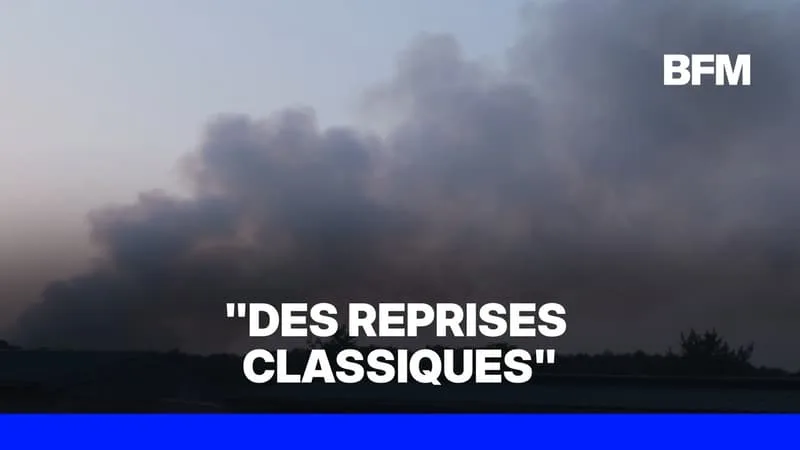 FEUX DE FORÊT: DEUX NOUVEAUX DÉPARTS DE FEU À FONTAINEBLEAU, DONT UN TOUJOURS EN COURS