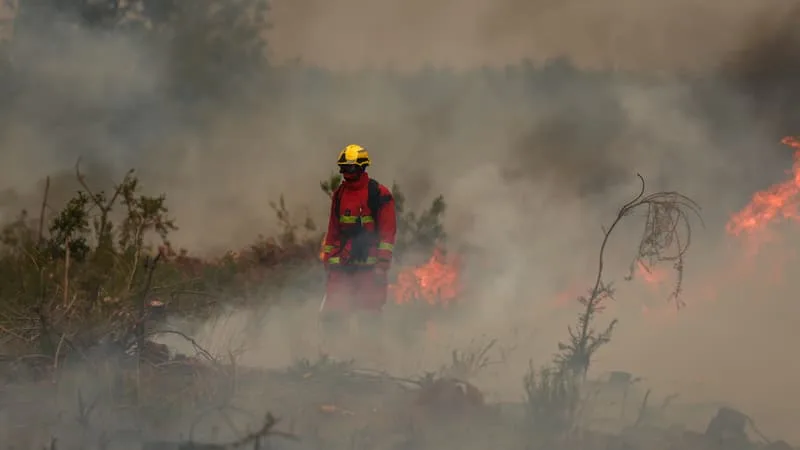 DIRECT. INCENDIES EN FRANCE: 42.000 HECTARES PARCOURUS EN GIRONDE, LE FEU « POURSUIT SA PROGRESSION »