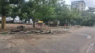 POUR VÉGÉTALISER LA COUR DE RÉCRÉATION DE CETTE ÉCOLE DE RENNES… DES ARBRES SERONT ABATTUS