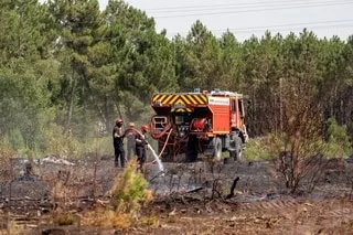 UN FEU DE FORÊT SE DÉCLARE DANS LE SUD-SARTHE, CINQUANTE POMPIERS MOBILISÉS