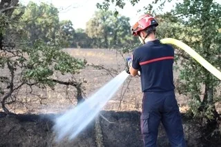17 HECTARES BRÛLÉS, TROIS HAMEAUX ÉVACUÉS, UNE QUARANTAINE D’HABITANTS DÉPLACÉS… VIOLENT INCENDIE EN COURS EN VENDÉE