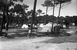 « DÉPOSEZ L’ARGENT DANS LA FORÊT » : EMBAUCHÉ AU NOIR, IL AVAIT TENTÉ DE RANÇONNER SES PATRONS… MAIS S’ÉTAIT FAIT PINCER