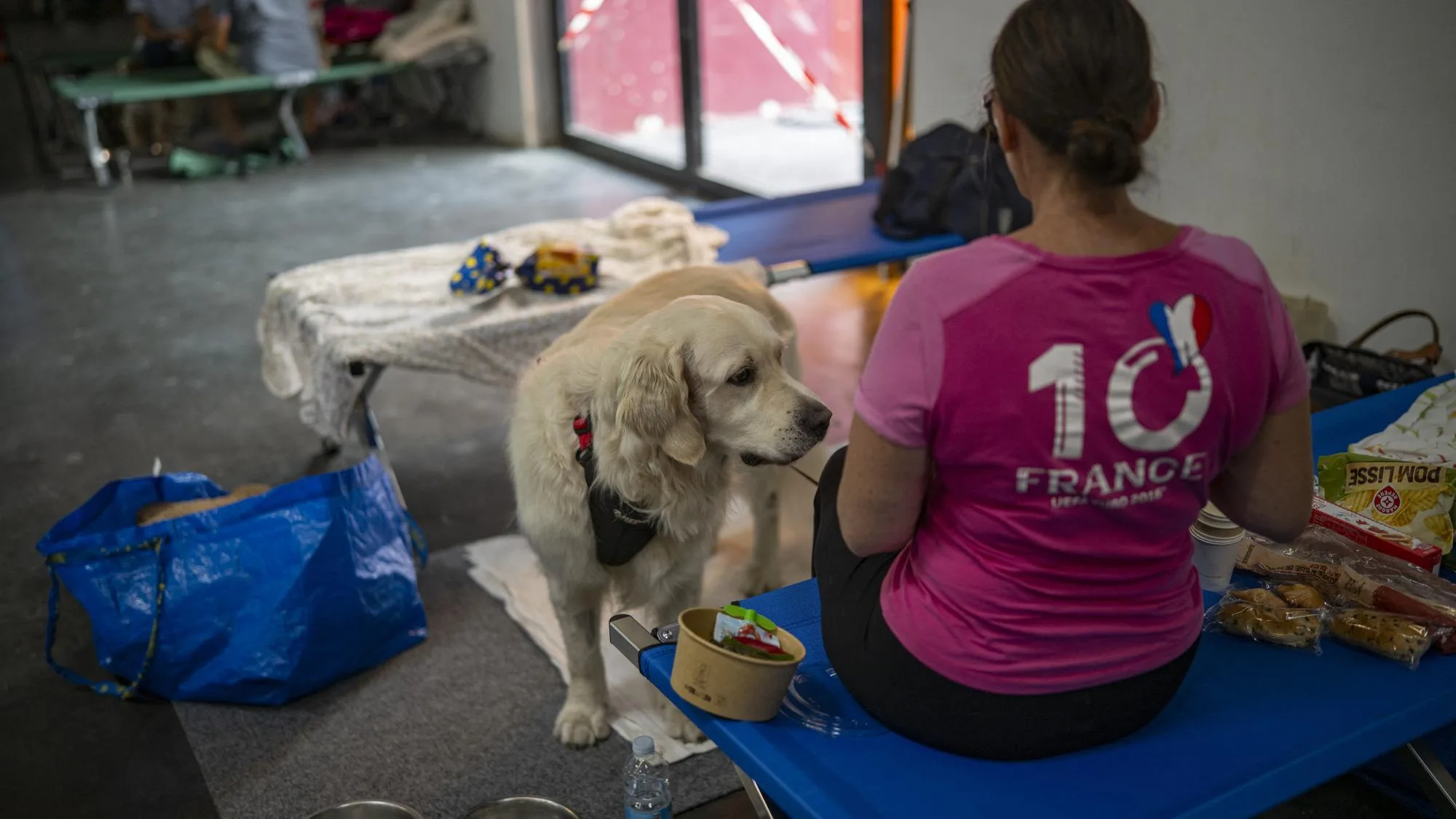 FACE À L’INCENDIE EN GIRONDE, LA COURSE CONTRE LA MONTRE POUR SAUVER LES ANIMAUX DOMESTIQUES ABANDONNÉS