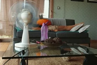 CANICULE. LE MAINE-ET-LOIRE ET LES DEUX-SÈVRES PLACÉS EN VIGILANCE