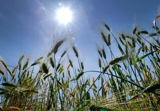 CANICULE : LA VAGUE DE CHALEUR DE JUIN 2026 A DURÉ MOINS LONGTEMPS QUE CELLE DE 2003