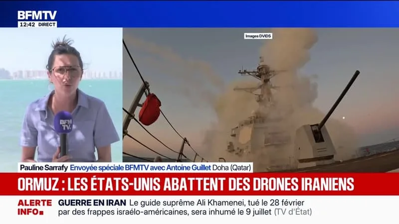 DÉTROIT D’ORMUZ: CE QUE L’ON SAIT DES DRONES IRANIENS ABATTUS PAR LES ÉTATS-UNIS