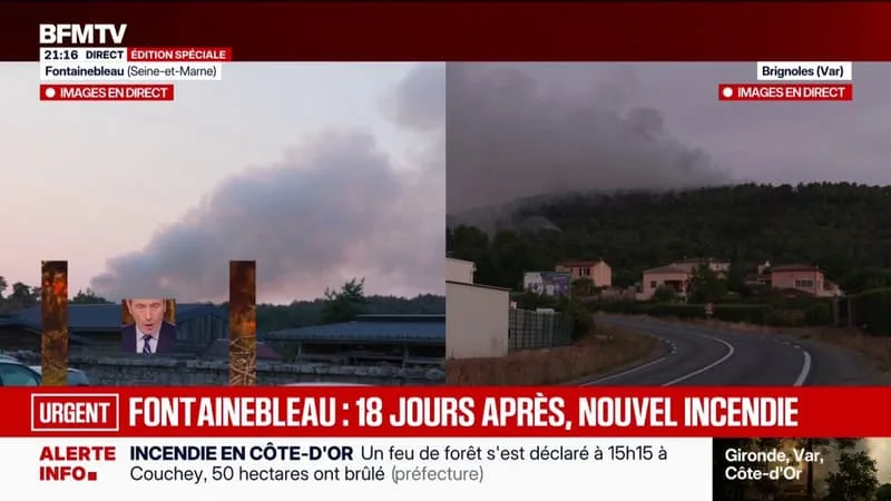 FONTAINEBLEAU: 18 JOURS PLUS TARD, UNE NOUVELLE REPRISE DE FEU DANS LA FORÊT