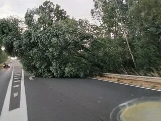 « C’EST LE DÉLUGE, DES BRANCHES TOMBENT ET DES POUBELLES S’ENVOLENT » : DES ORAGES LOCALISÉS FRAPPENT LE MAINE-ET-LOIRE