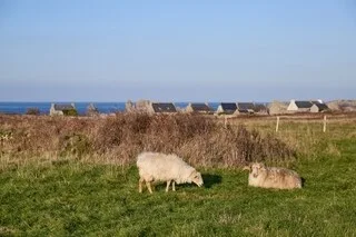 OUESSANT. TOUT QU’IL FAUT SAVOIR AVANT DE VENIR SUR LA CHARMANTE ÎLE DU FINISTÈRE