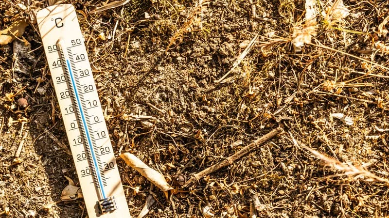 « UN RISQUE DE CANICULE ÉLEVÉ »: UNE QUATRIÈME VAGUE DE CHALEUR VA S’ABATTRE SUR LA FRANCE EN MILIEU DE SEMAINE