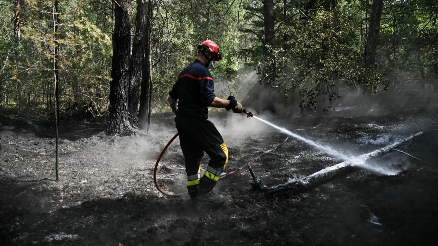 L’INCENDIE DE FONTAINEBLEAU A PU REPRENDRE ALORS QU’IL ÉTAIT « FIXÉ », VOICI COMMENT (ET POURQUOI C’EST LOIN D’ÊTRE FINI)