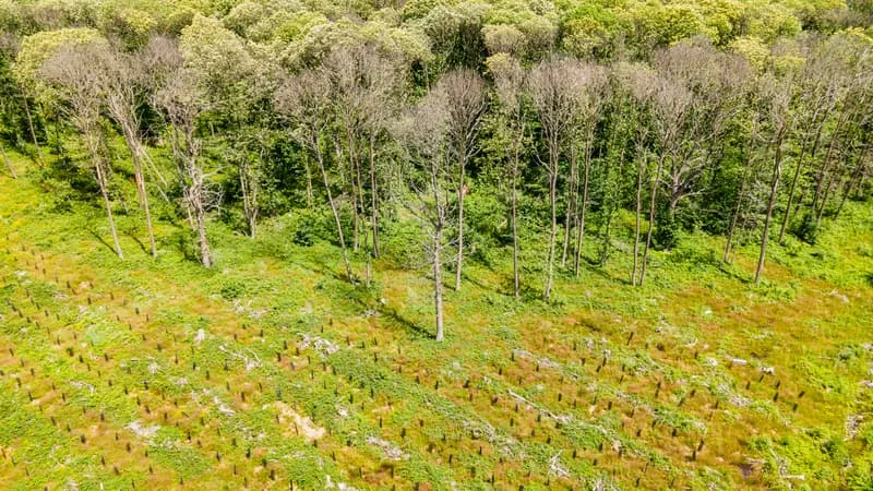 33 COMMUNES SUSPENDENT LEUR SUBVENTION À L’OFFICE NATIONALE DES FORÊTS POUR PROTESTER CONTRE SES COUPES RASES EN FORÊT DE MONTMORENCY