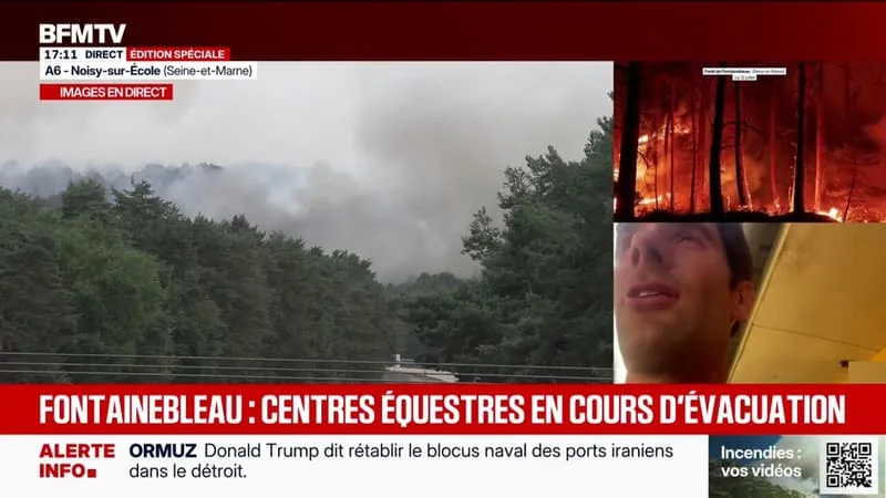 FONTAINEBLEAU: « EN 37 ANS, C’EST LA PREMIÈRE FOIS QUE JE PEUX OBSERVER CE GENRE DE PHÉNOMÈNE », DÉPLORE ÉDOUARD FIOCRE, PROPRIÉTAIRE D’ÉCURIES EN SEINE-ET-MARNE