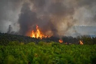INCENDIE DANS L’AUDE : TROIS AGENTS DE L’OFFICE NATIONAL DES FORÊTS EN GARDE À VUE DANS L’ENQUÊTE SUR L’ORIGINE DU FEU