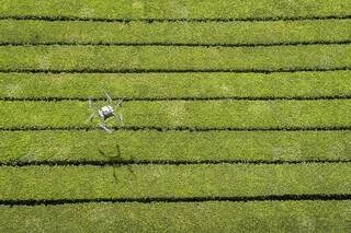 « UNE LISTE DE 150 PRODUITS PHYTOSANITAIRES » : L’ÉPANDAGE PAR DRONE POSSIBLE SUR CERTAINES PARCELLES AGRICOLES