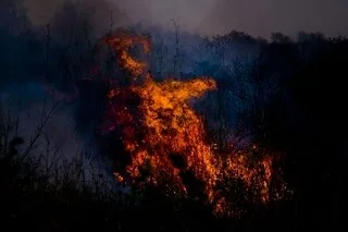 INCENDIE EN GIRONDE. UN DÉFENSEUR DES GIRONDINS DE BORDEAUX REMERCIE LE CLUB POUR LES SOLUTIONS DE RELOGEMENT