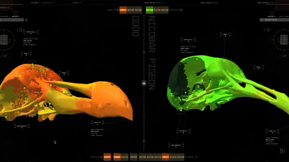 L’IA AU SECOURS DU DODO : COLOSSAL BIOSCIENCES DÉVOILE SON ARME SECRÈTE