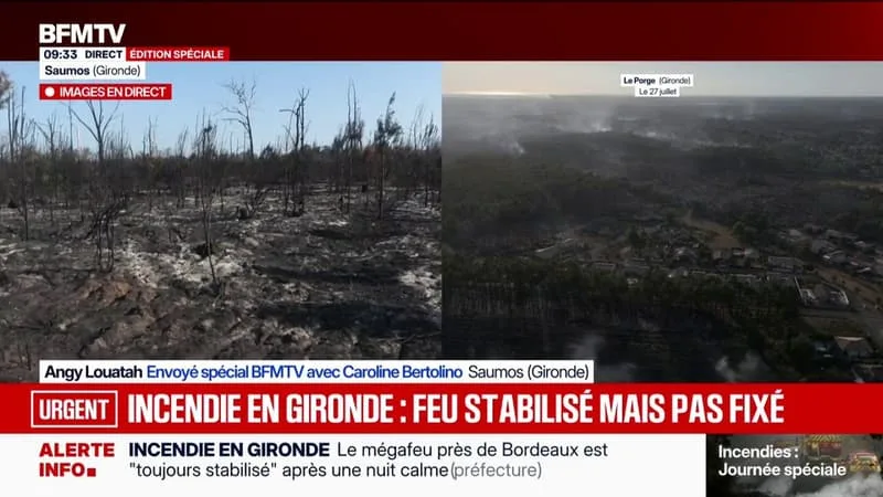 À SAUMOS, OÙ LE FEU EN GIRONDE A DÉMARRÉ, LA VÉGÉTATION EST COMPLÈTEMENT CALCINÉE