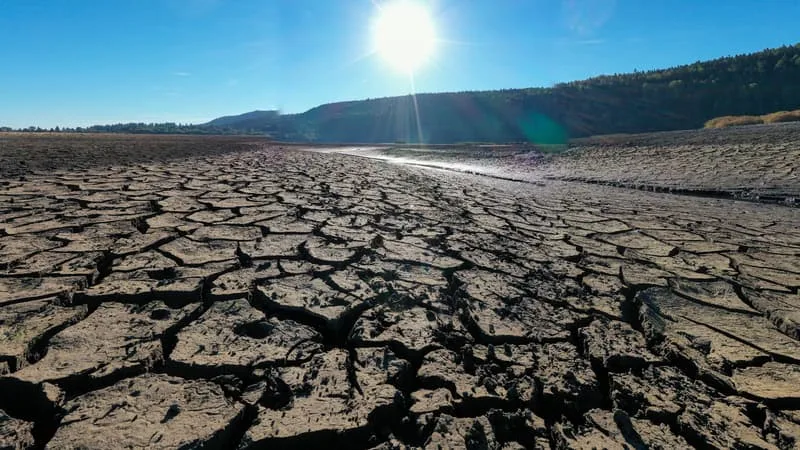 UNE « CLIMATÉFLATION » QUI POURRAIT FAIRE BONDIR LES PRIX ALIMENTAIRES MONDIAUX DE 16%: POURQUOI LE PHÉNOMÈNE EL NIÑO RISQUE DE PROVOQUER UN (NOUVEAU) CHOC INFLATIONNISTE PLANÉTAIRE