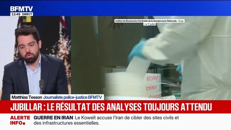 AFFAIRE JUBILLAR: L’IDENTIFICATION DES OSSEMENTS TROUVÉS PRÈS DE CAGNAC-LES-MINES TOUJOURS EN COURS