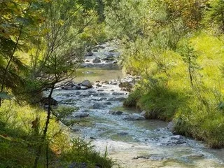 PRÈS DE NICE, L’AFFLUX DE VISITEURS DANS UNE RIVIÈRE DEVENUE POPULAIRE SUR TIKTOK EXASPÈRE LES RIVERAINS