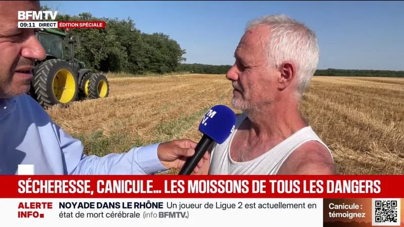 « ÇA OBLIGE À RESTER À L’ABRI AUX HEURES LES PLUS CHAUDES DE LA JOURNÉE »: À PIBRAC (HAUTE-GARONNE), LES MOISSONS ONT DÉBUTÉ AVEC 10 JOURS D’AVANCE PAR RAPPORT À L’AN DERNIER À CAUSE DE LA CANICULE