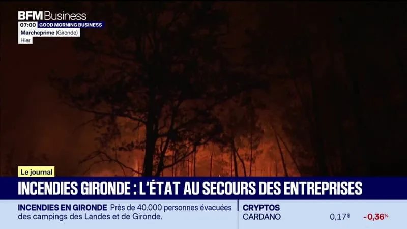 INCENDIE EN GIRONDE : L’ÉTAT AU SECOURS DES ENTREPRISES