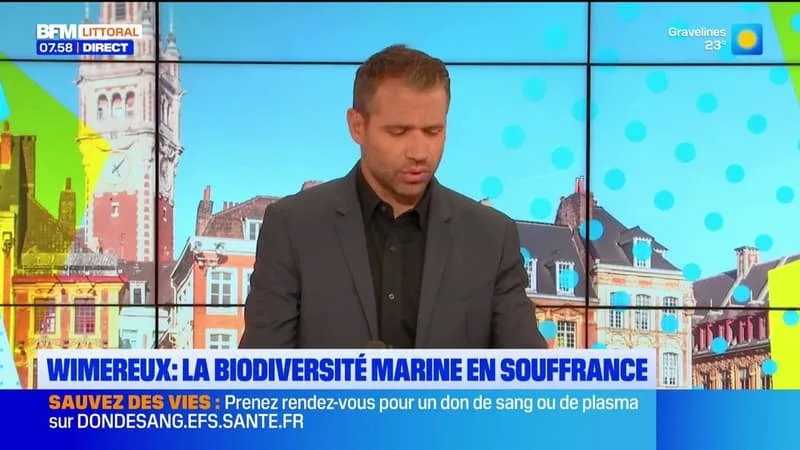LE JOURNAL DE 8H DU LUNDI 6 JUILLET 2026