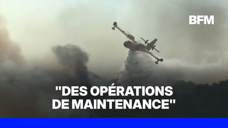 INCENDIES: LA FRANCE A-T-ELLE SUFFISAMMENT DE MOYENS AÉRIENS POUR COMBATTRE LES FEUX?