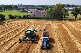 REPORTAGE. « À LA MOINDRE ÉTINCELLE, C’EST L’INCENDIE » : AVEC LA CANICULE, DES MOISSONS AVANCÉES ET SOUS PRESSION