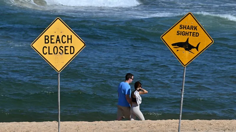 « IL N’A PU ÊTRE RÉANIMÉ »: UN HOMME MEURT APRÈS UNE ATTAQUE DE REQUIN EN AUSTRALIE