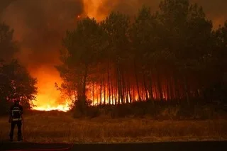 INCENDIES : POURQUOI LES FEUX EN GIRONDE ET DANS LES LANDES SE PROPAGENT-ILS AUSSI VITE ?