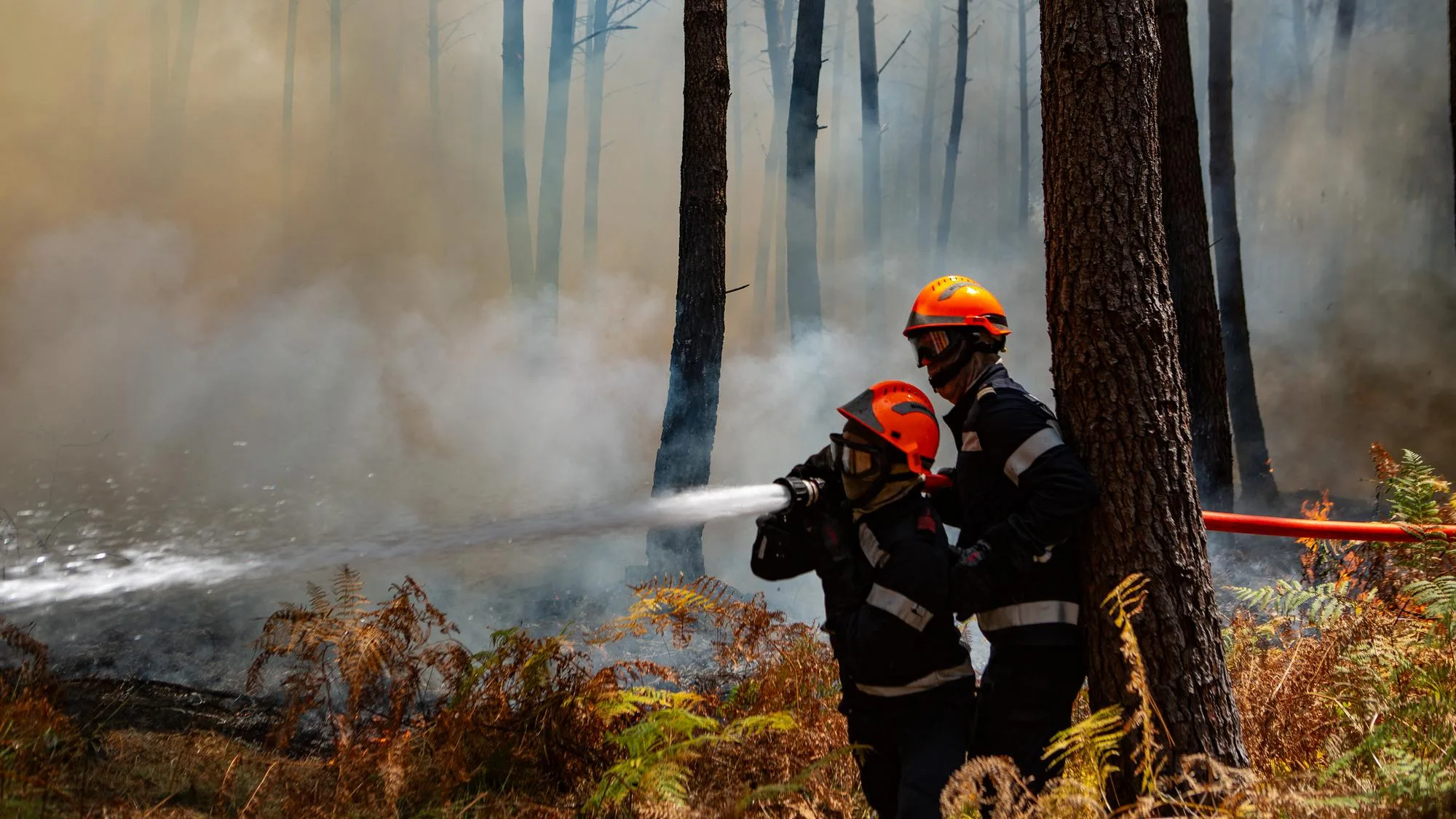« FIXÉ », « MAÎTRISÉ », « CIRCONSCRIT »… LE VOCABULAIRE POUR COMPRENDRE LA GESTION DES INCENDIES
