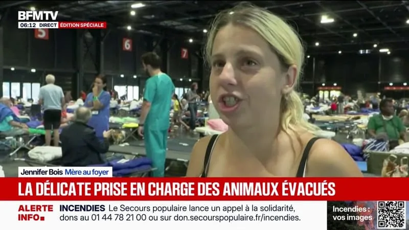 INCENDIE EN GIRONDE: LA DÉLICATE PRISE EN CHARGE DES ANIMAUX ÉVACUÉS